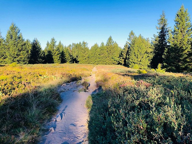 Long distance trail - from Lac Blanc to Grand Ballon