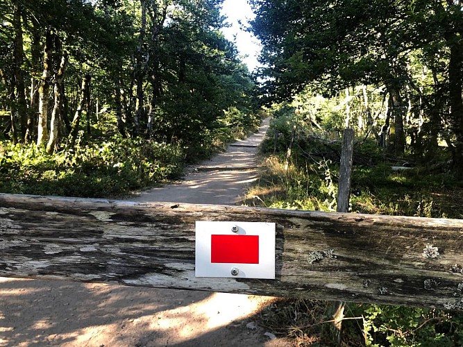 Long distance trail - from Lac Blanc to Grand Ballon