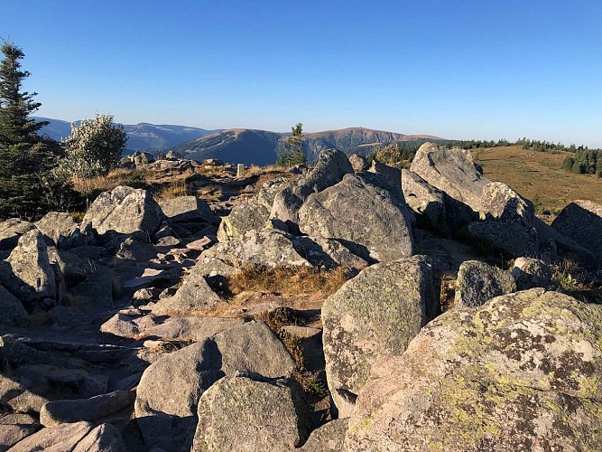 Itinérance - du lac Blanc au Grand Ballon (GR5)