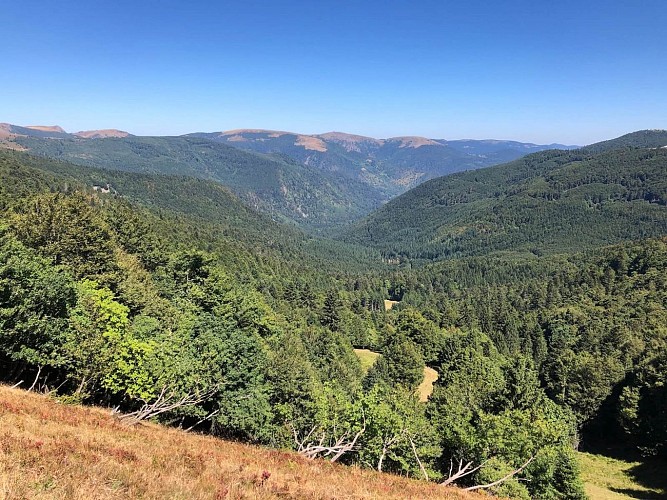 Itinérance - du lac Blanc au Grand Ballon (GR5)