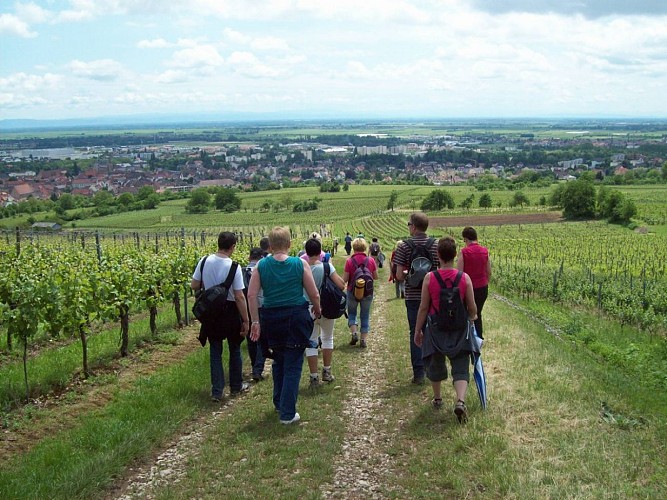 Bacchus hiking trail - Trötele