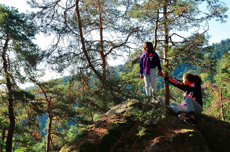 Die Aussichtspunkte Falkenstein und Hagelstein