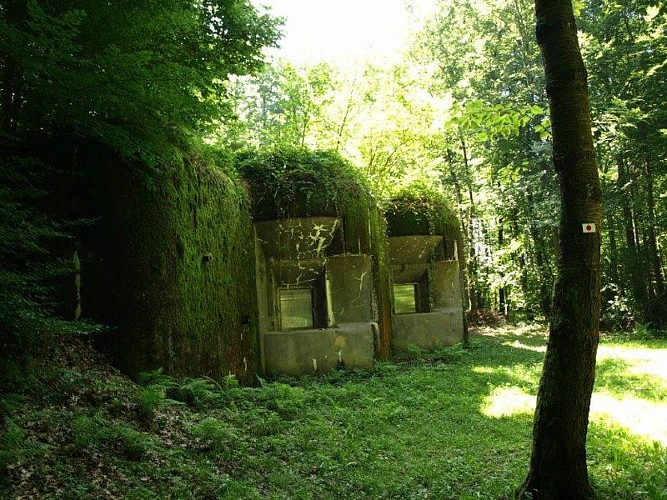Casemate de Bettlach