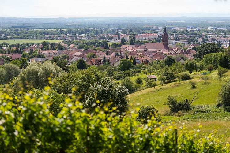 La vue du village d'Uffholtz