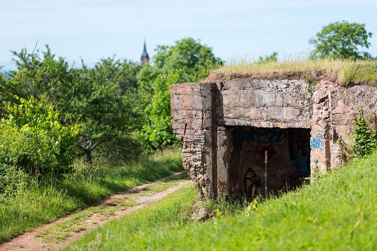 Bunker sur le sentier entre Uffholtz et Wattwiller