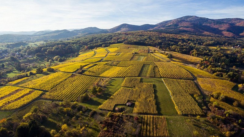 Vue sur Uffholtz en drone
