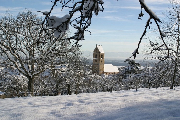 L’église Saint-Jean-Baptiste de Wattwiller