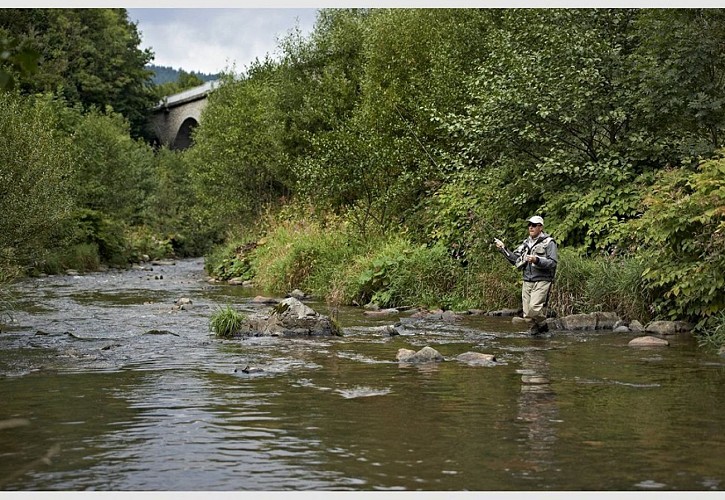 Stroller circuit trail C02 : The path de la Folie