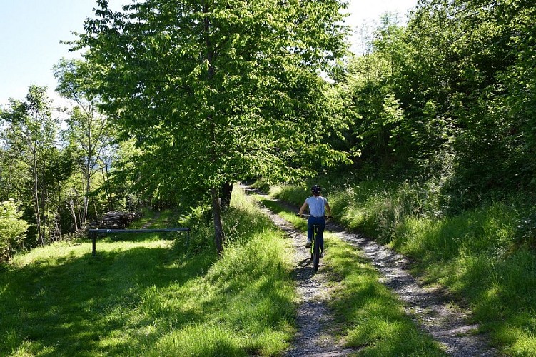 Circuit VTT n°20 : Les balcons de Mitzach