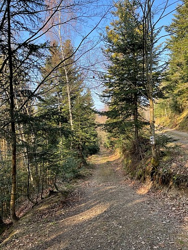 Circuit VTT n°20 : Les balcons de Mitzach