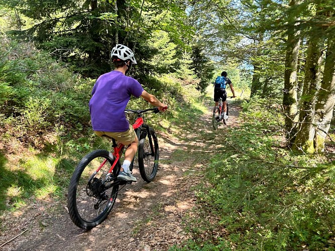 Mountainbike Strecke 5 - Die Merelles