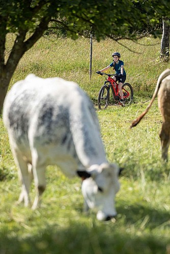 Mountainbike Strecke 5 - Die Merelles