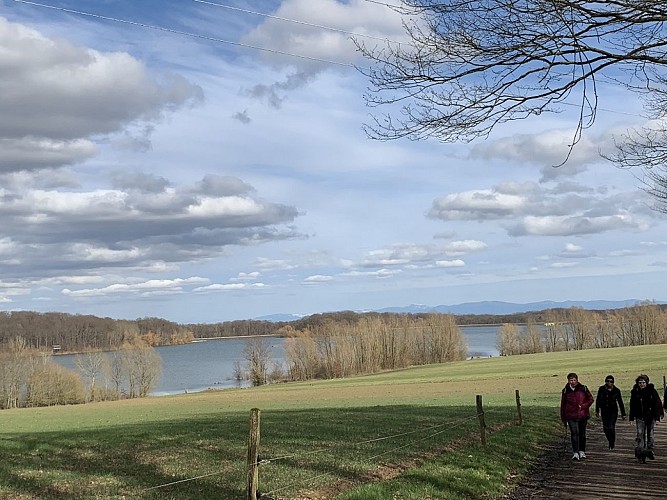 Le barrage du lac de Michelbach