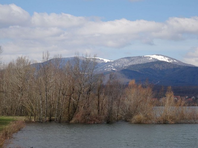 Les Vosges vues du lac de Michelbach