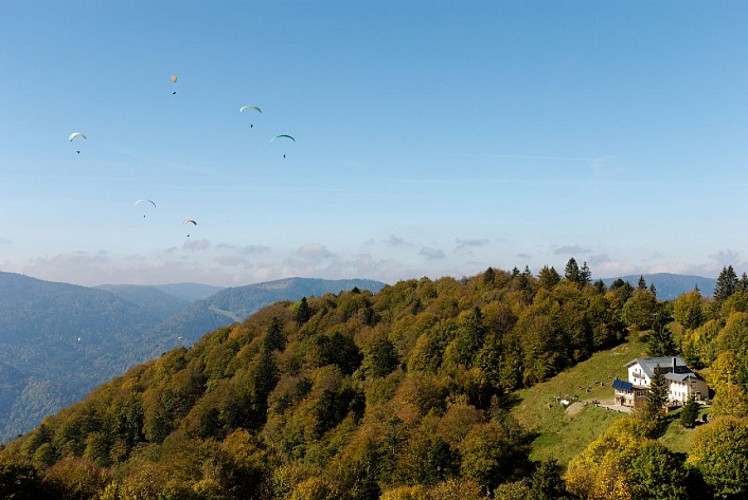 Vol en parapentes sur le Massif Vosgien