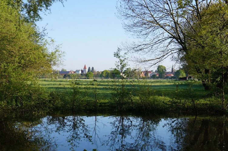Entdeckungstour: Am Ufer des Zorn