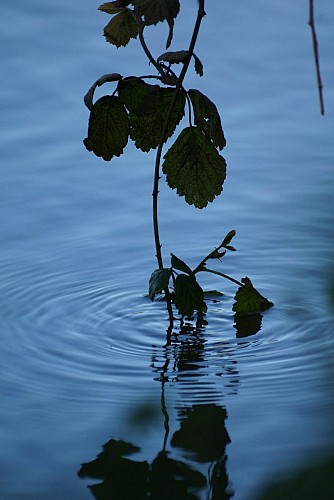 Entdeckungstour: Am Ufer des Zorn