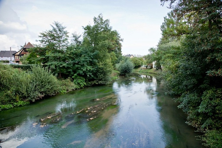 Circuit découverte Sur les bords de la Zorn