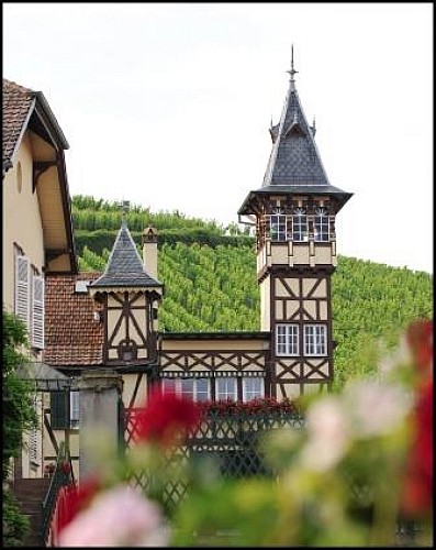 Fahrradtour: Weinbaulandschaften am Fuße der Hohkönigsburg