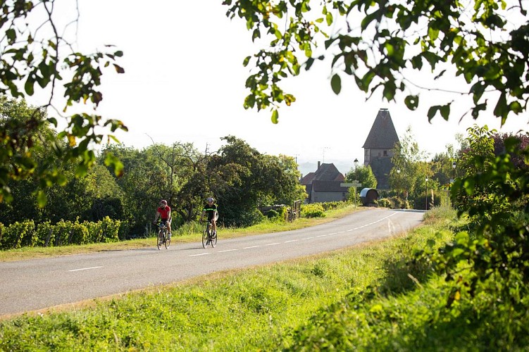 Spazieren Radfahren - Besichtigen Sie Colmar