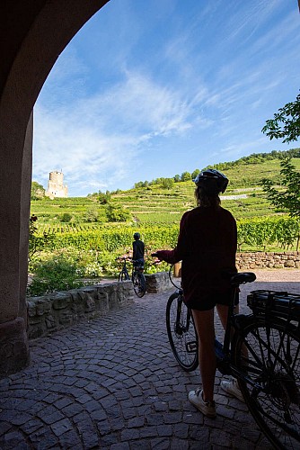 Spazieren Radfahren - Besichtigen Sie Colmar