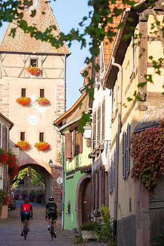 Cycling tour - the discovery of Colmar