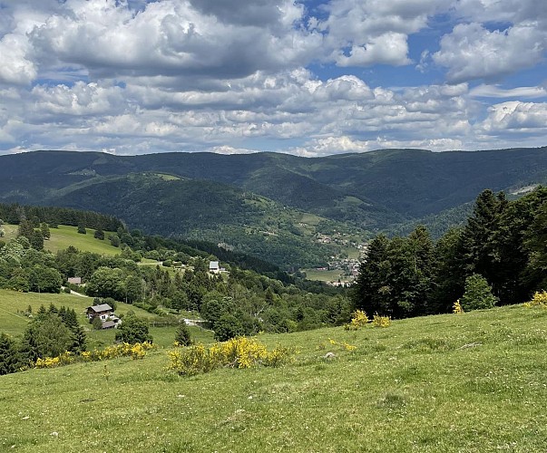 Circuit VTT n°11 : Le tour du Frenz