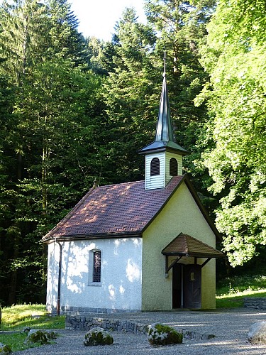 Circuit VTT n°11 : Le tour du Frenz