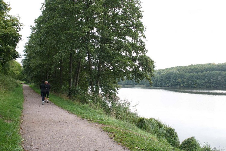 Plan d'eau de Reichshoffen, Alsace