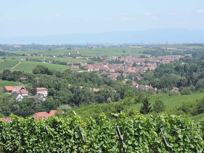 Vue sur Soultz-les-Bains