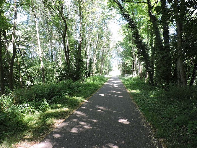 Piste cyclable Molsheim-Saverne