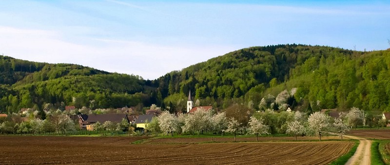 Village de Vieux-Ferrette