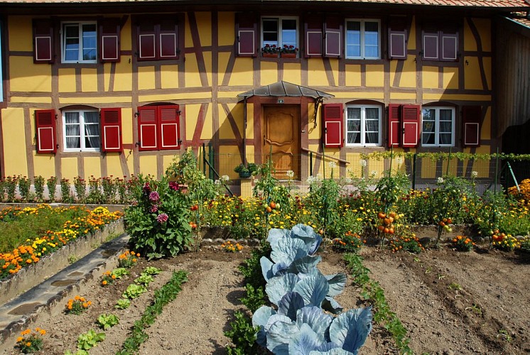 Maison à colombages à Bellemagny