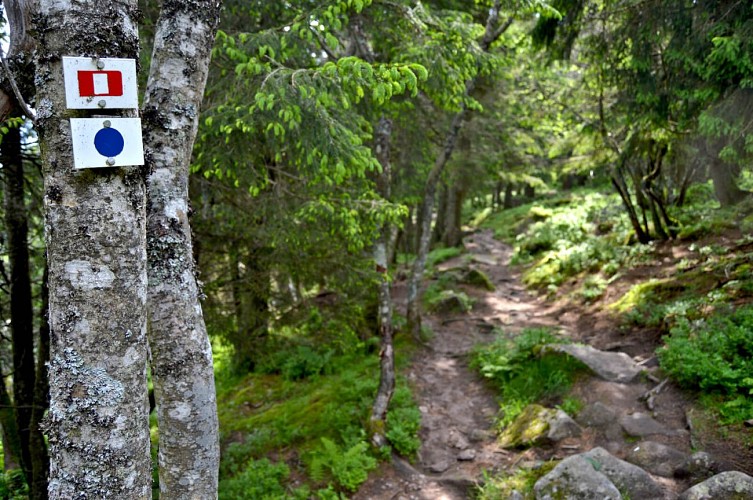 Wanderung -  die Zwei-Seen-Tour von Orbey