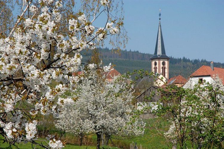 Entdeckungsrundgang von Thannenkirch