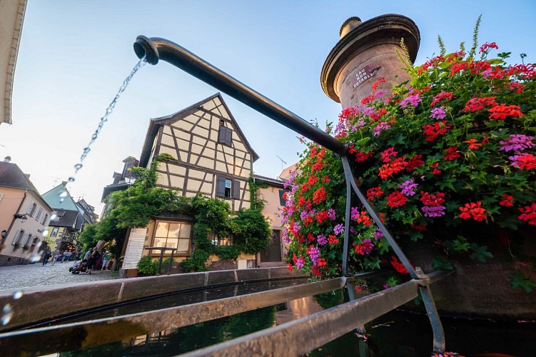 Riquewihr discovery tour