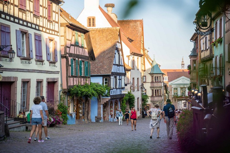 Riquewihr discovery tour