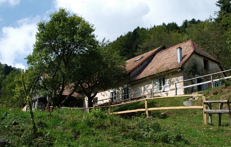 Balade ferme-auberge Entzenbach : sur les traces d'un patrimoine rural