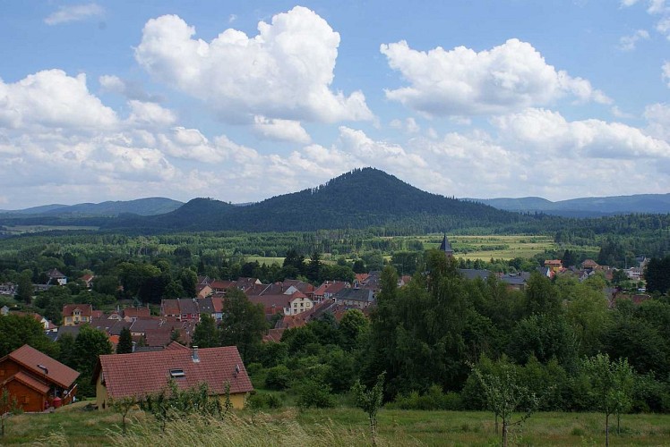 Hiking trail H06: The summit of the Voyemont