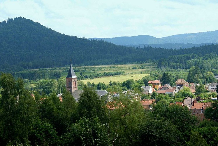 Hiking trail H06: The summit of the Voyemont