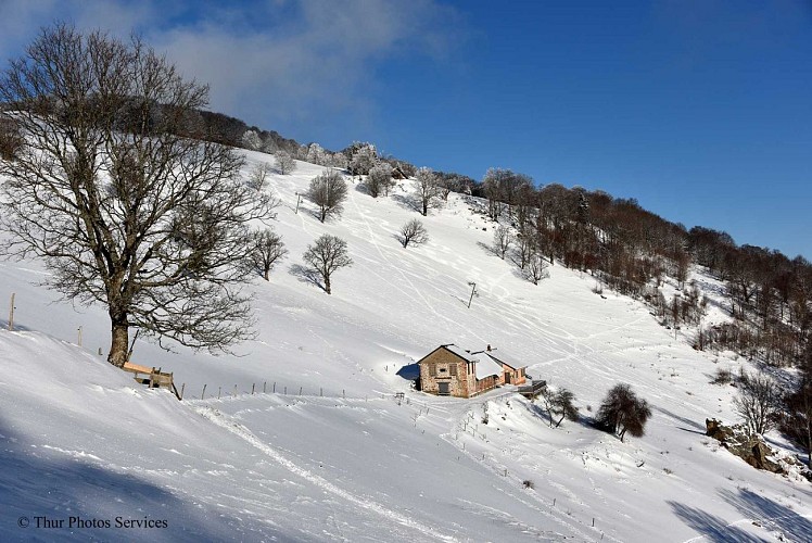 Balade ferme-auberge Thannerhubel : entre les alignements de pierre