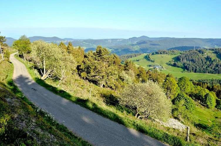 Wanderung - Surcenord von Gazon l'Hôte