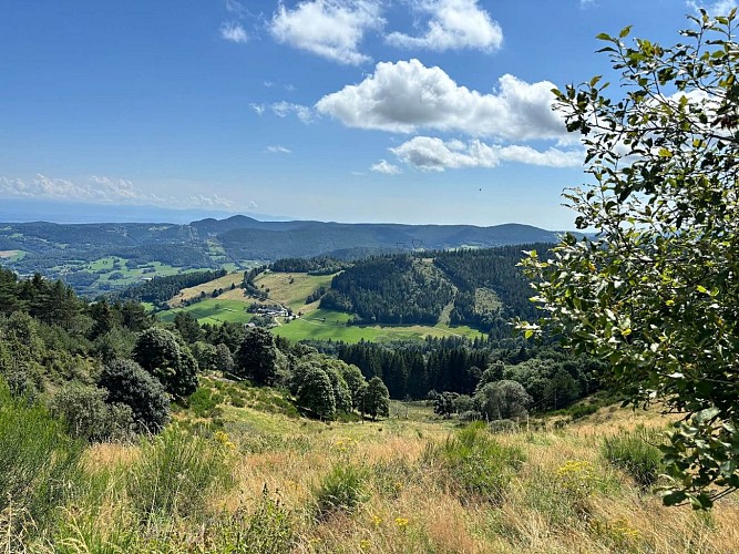 Circuit rando - le Surcenord par Gazon l'Hôte