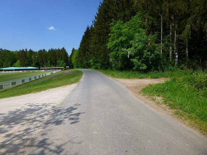 Prendre le chemin non balisé à droite pour voir les tumulus. Puis prendre le chemin de gauche pour continuer la balade.