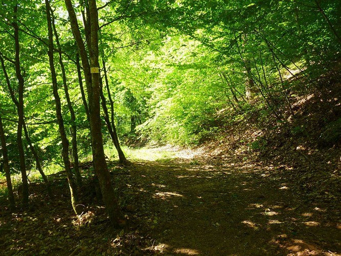 Après avoir vu la borne de 1757, gravir ce sentier.