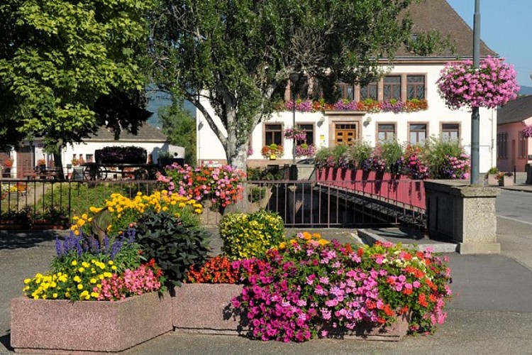 Entdeckungsrundgang von Ostheim