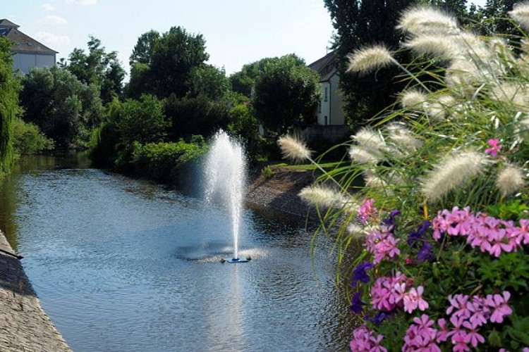 Discovery circuit of Ostheim