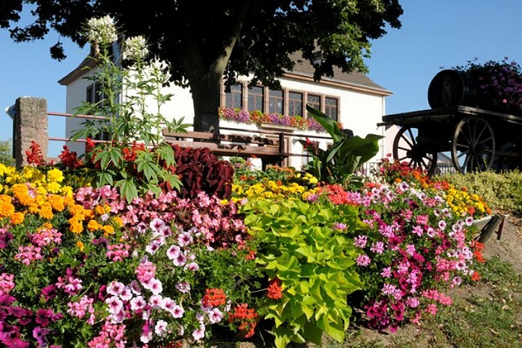 Discovery circuit of Ostheim