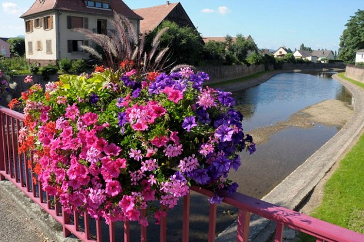 Circuit découverte Ostheim