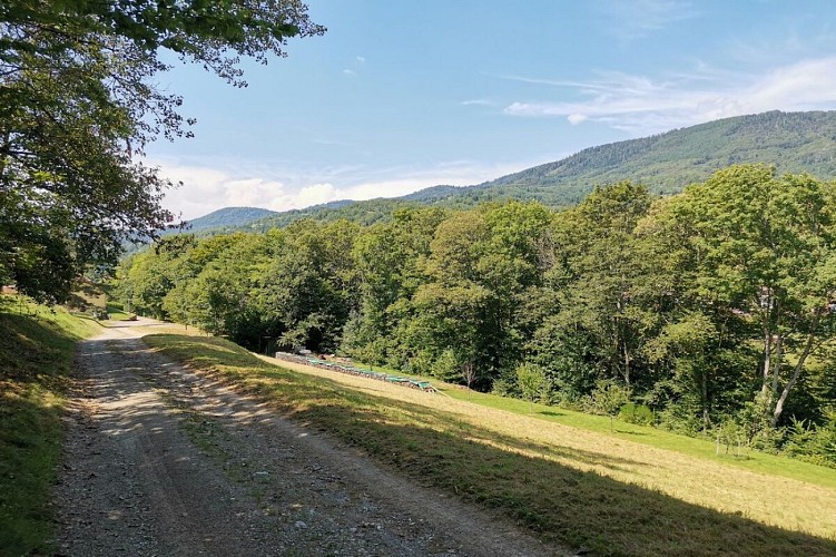 Hiking - Klosterwald and Honcourt Castle